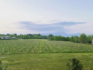 Relais Madergnago - Desenzano del Garda - 3