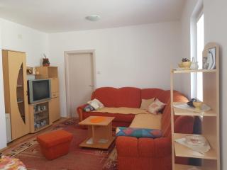Kragić apartman - Soko Banja - 5