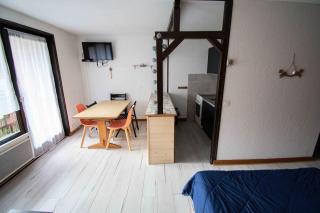 Relai S11 Grand et lumineux studio avec coin montagne 4-6 pers, WIFI, 30m des pistes, grand balcon, DRAPS NON COMPRIS - Saint-Jean-d'Aulps - 4