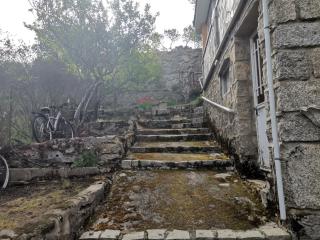 Los corzos - Burgohondo - 2