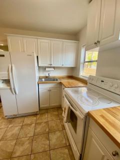 Two Fully Equipped Apartments and a Studio 5 miles from the beach - St Petersburg - 6