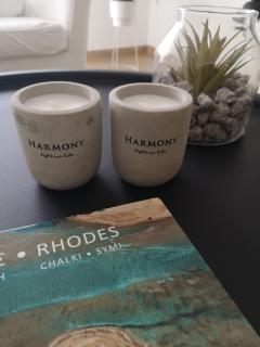 Harmony Elegant Central Apartment - Città di Rodi - 3
