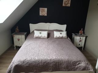 Cosy maison 3 chambres Honfleur jardin, parking privé et jacuzzi - Honfleur - 3