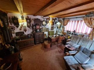 Pensiunea Otilia - Sighişoara - 0