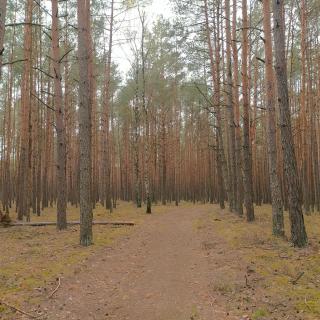 Kamiennikove - Kamiennik - 6