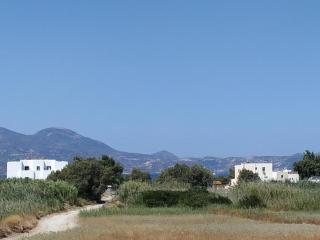 Papikinou Studios - Adamas - 9