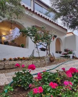 Il Salice b&b - Olbia - 0