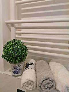Green Apartment Szczawno Zdrój - 3