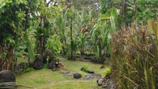 Casa Sophia 3 listings Apartment 1 or Apartment 2 separately or Apt 1 and 2 together all with FO internet - 2