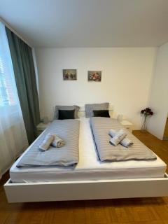 Apartment Green - Grey - Ljubljana - 8