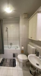 Apartment Green - Grey - 3