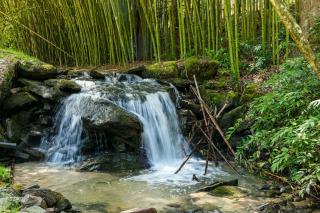 The Willows Retreat - 6