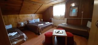Casa Cristina_ Cabana - Buşteni - 3
