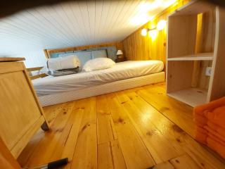 Studio 2 à 4 personnes avec garage privé - Mont-Dore - 3