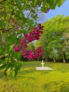 Maison d'hôtes Au Cœur des Lacs - 6