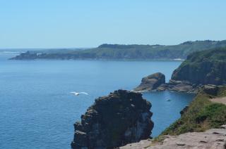 Sables d'or Bel Appartement 300 m de la plage - Frehel - 2