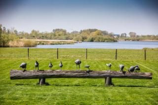 Aan de Blankaart - 3