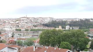 Coimbra's Gray & White - 2