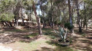 Casa Beja - 5