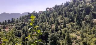 Deep Jyoti Home Stay - Shimla - 5