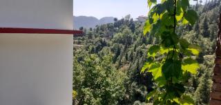 Deep Jyoti Home Stay - Shimla - 6