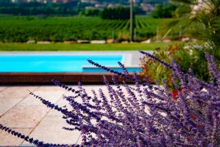 B&B Ca' Marognole - Caprino Veronese - 4