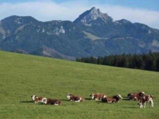 Ferienwohnung Del Toso - Schliersee - 8