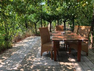 Szendergő - Apartman Hajós pincefalu - Hajós - 3