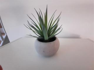 PantaiaHomes - Le figuier d'Estellan - Gîte 6 couchages - Piscine - 2