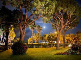 4-Star Beachfront Appartment- Sea View - Cannes - 0