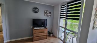 apartament Ewa - Zielona Góra - 7