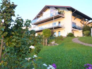 Haus am Weinberg - Seekirchen am Wallersee - 9