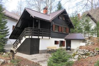 ARIA - Sviščaki - 0