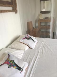 LES ALOÈS By CREYOL ANIMAL - 9