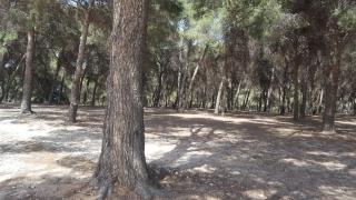 Townhouse, Adosado con Encanto -130 m2 - WiFi 600 Mb - Community Pool - Private patio - 5
