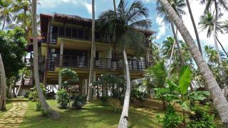 Seven Turtles - Tangalle - 6