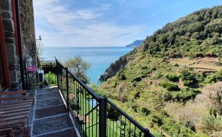 Arbanella - Corniglia - 2