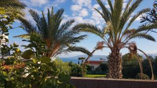 The Summer Haven - Polis Chrysochous - 5