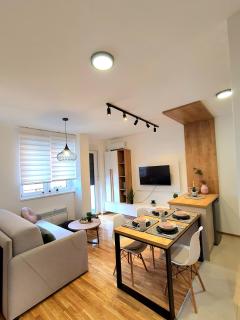 Apartman Skarlet Vrnjačka Banja - Vrnjačka Banja - 0