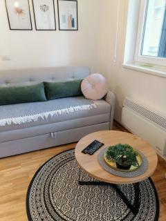 Apartman Skarlet Vrnjačka Banja - Vrnjačka Banja - 7