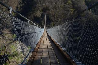 Birdbox Curzútt - 6