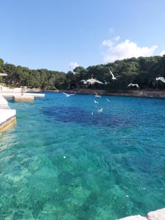 Villa Sommerzauber - Mali Lošinj - 3