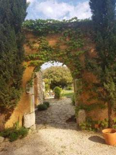 Le mas des escans - Le Beausset - 9