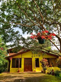 Senz Chalet Riverside - Mindo - Mindo - 8
