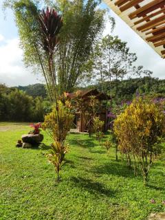 Senz Chalet Riverside - Mindo - Mindo - 5