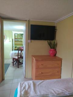 Spiceisle Mint Tiny Living - 7