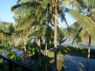 Toko Toko Bungalows - Ubud - 1