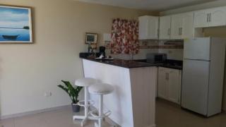 Fully Equipped New 2br Apt–dt–2mins To The Beach - Sosúa - 4