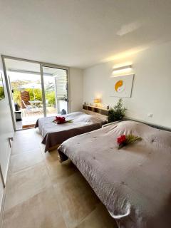 NOUVEAU studio chaleureux avec jacuzzi privé & piscine - Le Diamant - 6