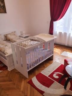 Apartament Enescu - Timişoara - 9